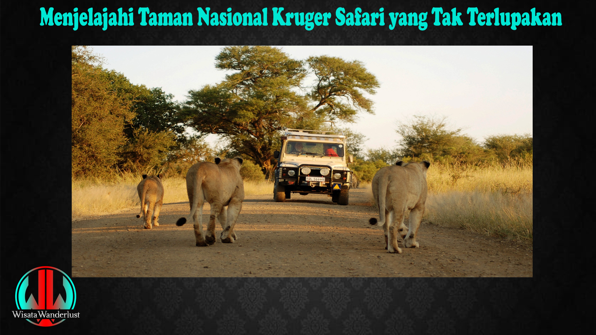 Menjelajahi Taman Nasional Kruger Safari yang Tak Terlupakan